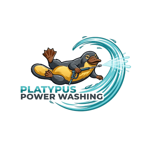 Platypus Power Washing